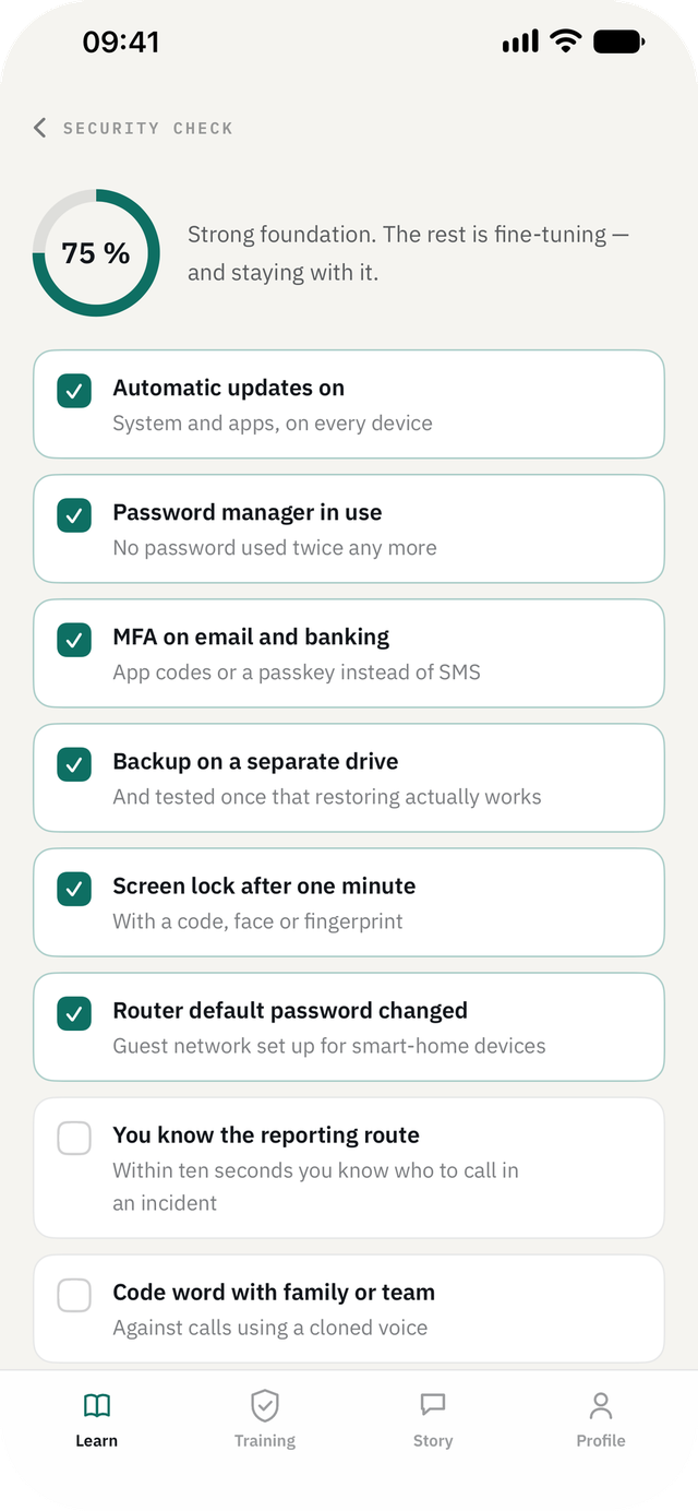 Cyber Security Awareness Fit on iPhone — Security check: Eight points that actually matter, and what is still missing.